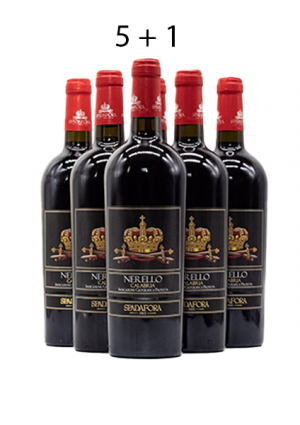 (25,57€/l) Nerello Calabia I.G.P. Rot 2021er 0,75 Liter Fl. 13,5% Vol.
