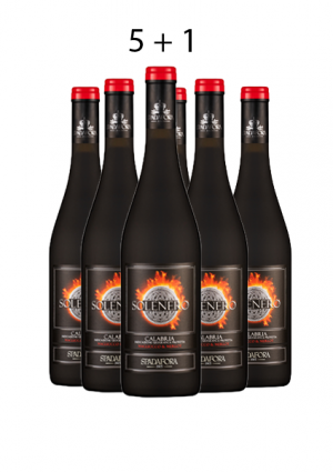(21,72€/l) SOLENERO Calabria I.G.P. Magliocco & Merlot (Rot) 2023er 0,75 Liter Fl. 13% Vol.